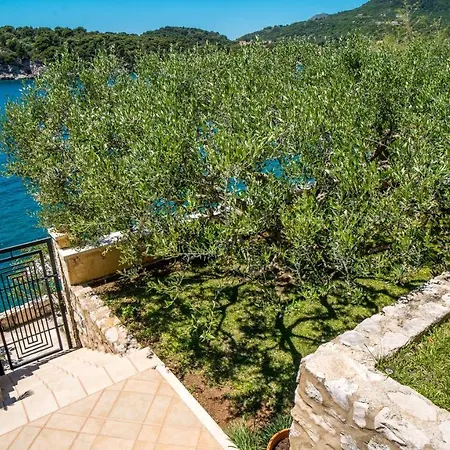 7-bedroom Si With Private Sea Access Villa Zaton